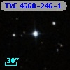 TYC 4560-246-1