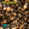 V* V1269 Sco