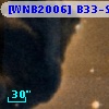 [WNB2006] B33-SMM1