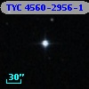 TYC 4560-2956-1