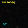 SN 2006tj