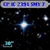 Cl* IC 2391    SMY       7
