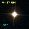 V* SY UMi