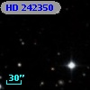HD 242350