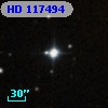 HD 117494