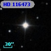 HD 116473