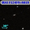 IRAS F12459+8019