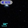 IC  825