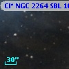 Cl* NGC 2264    SBL    1691B