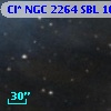 Cl* NGC 2264    SBL    1691A