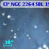 Cl* NGC 2264    SBL    1954A