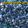 OGLE J050516.31-684514.9