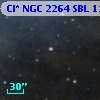 Cl* NGC 2264    SBL     116