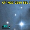 Cl* NGC 2264    SBL     176