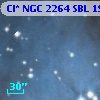 Cl* NGC 2264    SBL    1954C