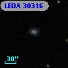 LEDA   30316
