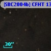 [SBC2004b] CFHT 1339