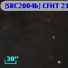 [SBC2004b] CFHT 2132