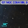 Cl* NGC 2264    SBL    1436