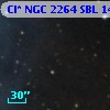 Cl* NGC 2264    SBL    1440
