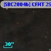 [SBC2004b] CFHT 2529