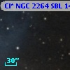 Cl* NGC 2264    SBL    1459