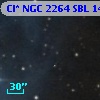 Cl* NGC 2264    SBL    1473