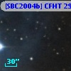 [SBC2004b] CFHT 2982