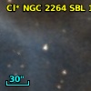 Cl* NGC 2264    SBL    1495