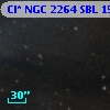 Cl* NGC 2264    SBL    1523