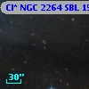 Cl* NGC 2264    SBL    1550
