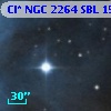 Cl* NGC 2264    SBL    1577