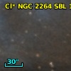 Cl* NGC 2264    SBL    1586