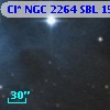 Cl* NGC 2264    SBL    1588