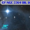 Cl* NGC 2264    SBL    1614