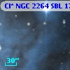 Cl* NGC 2264    SBL    1738