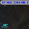 Cl* NGC 2264    SBL    1741