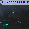Cl* NGC 2264    SBL    1752