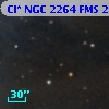 Cl* NGC 2264    FMS  2-164
