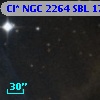 Cl* NGC 2264    SBL    1785