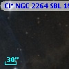 Cl* NGC 2264    SBL    1806A