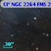 Cl* NGC 2264    FMS  2-213