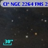 Cl* NGC 2264    FMS  2-227