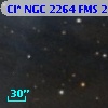Cl* NGC 2264    FMS  2-233