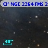 Cl* NGC 2264    FMS  2-245