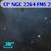 Cl* NGC 2264    FMS  2-253