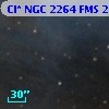 Cl* NGC 2264    FMS  2-347