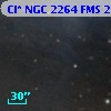 Cl* NGC 2264    FMS  2-391