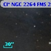 Cl* NGC 2264    FMS  2-395