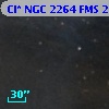 Cl* NGC 2264    FMS  2-410